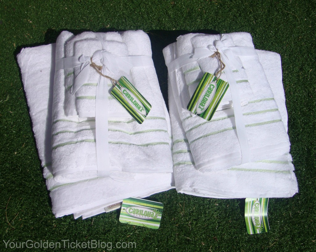 cariloha-bamboo-towel-set