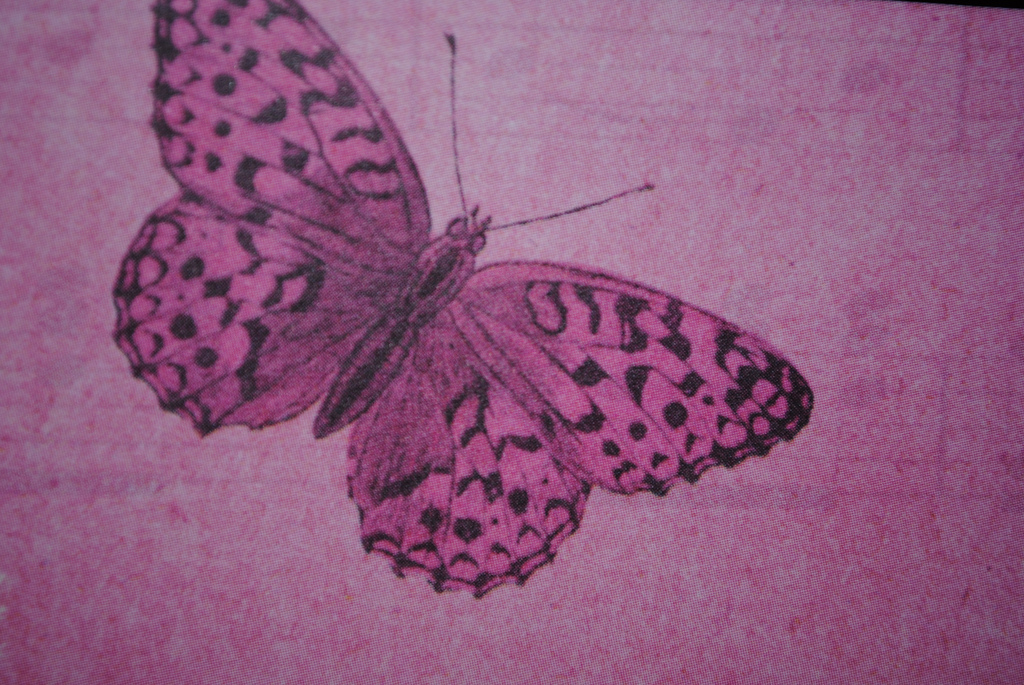 Pink Butterfly by Miss a Liss on Flickr